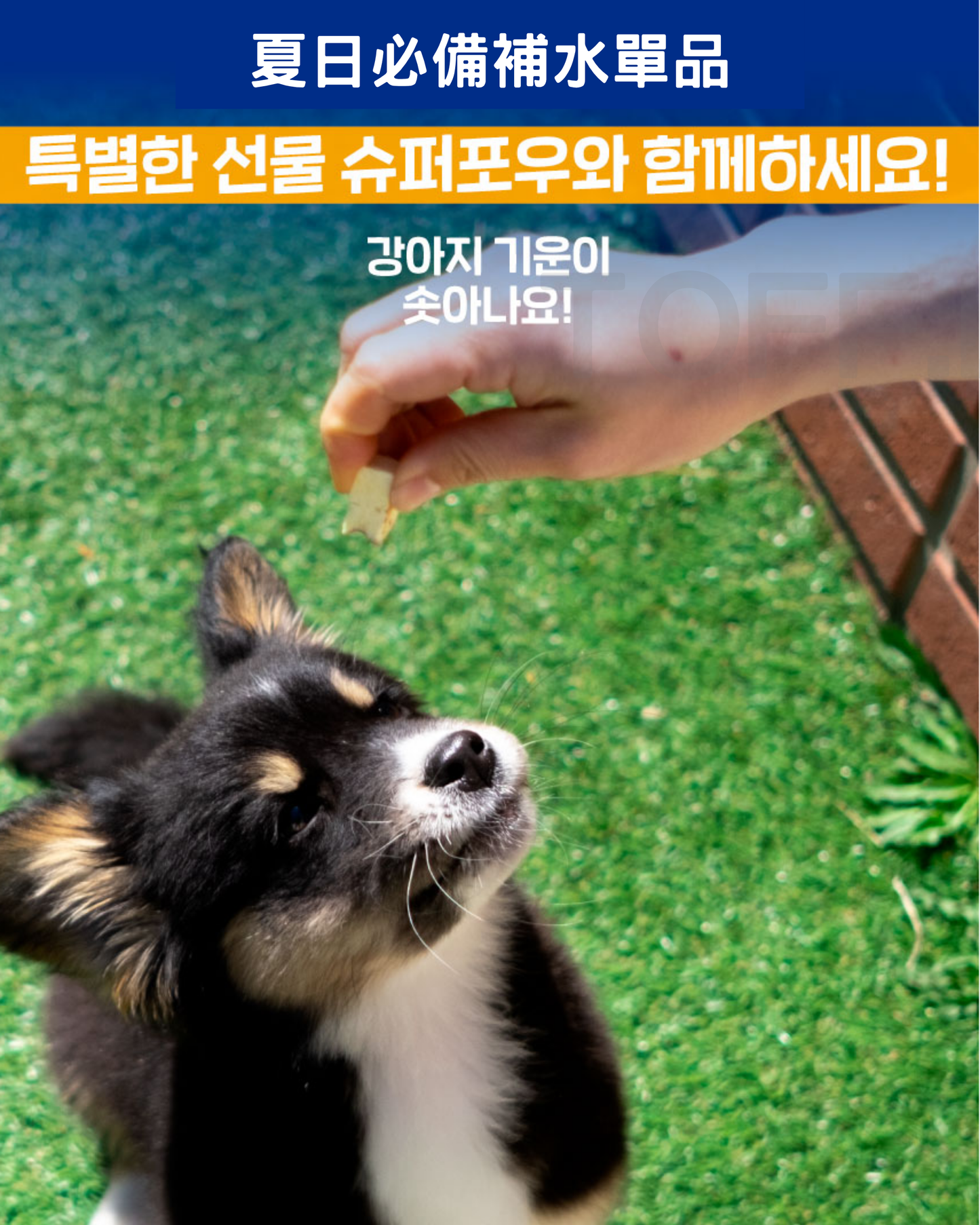SuperPaw 三文魚味狗狗粟米片