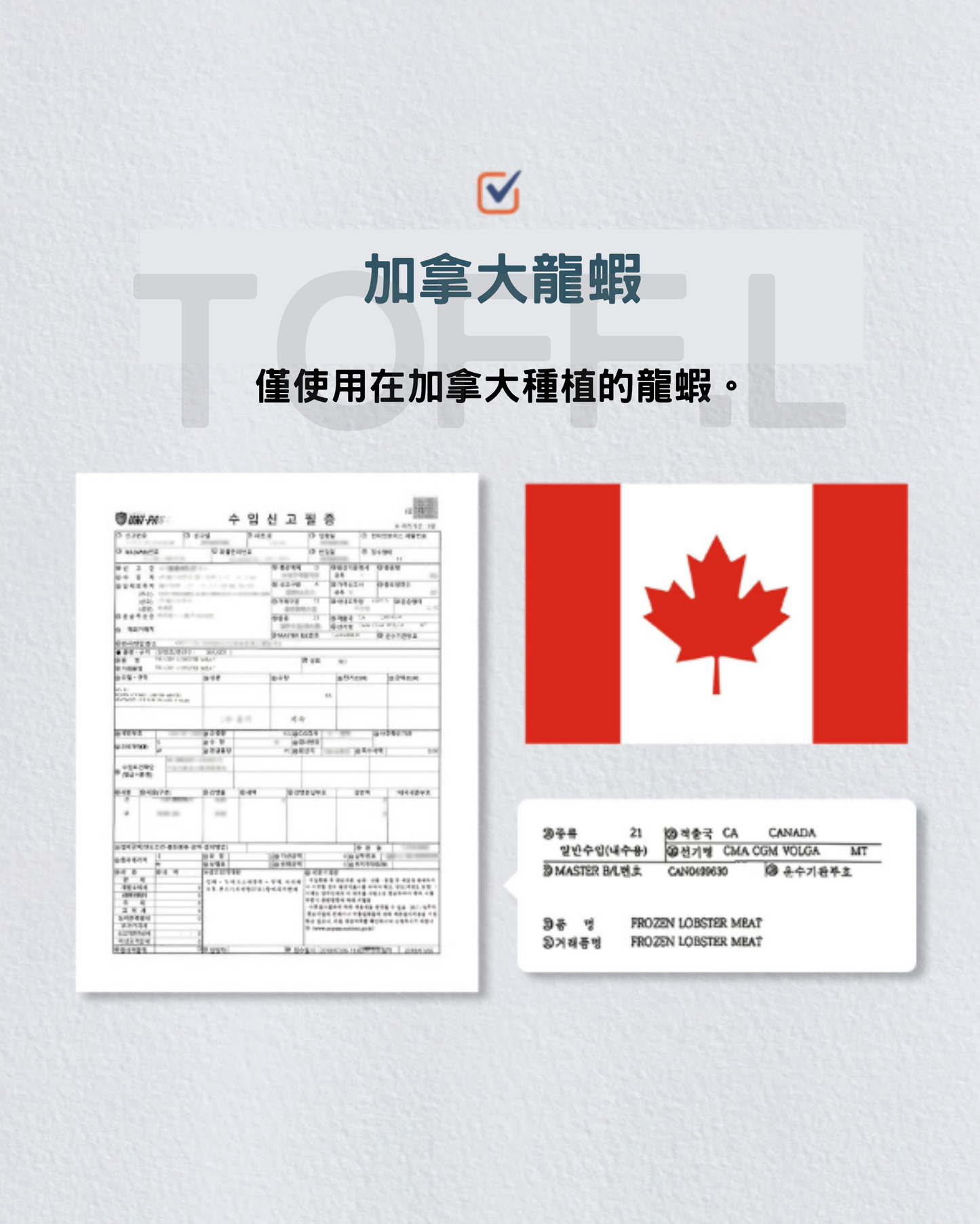 든든龍蝦明太魚肉泥條 🦞🐟| 貓犬用