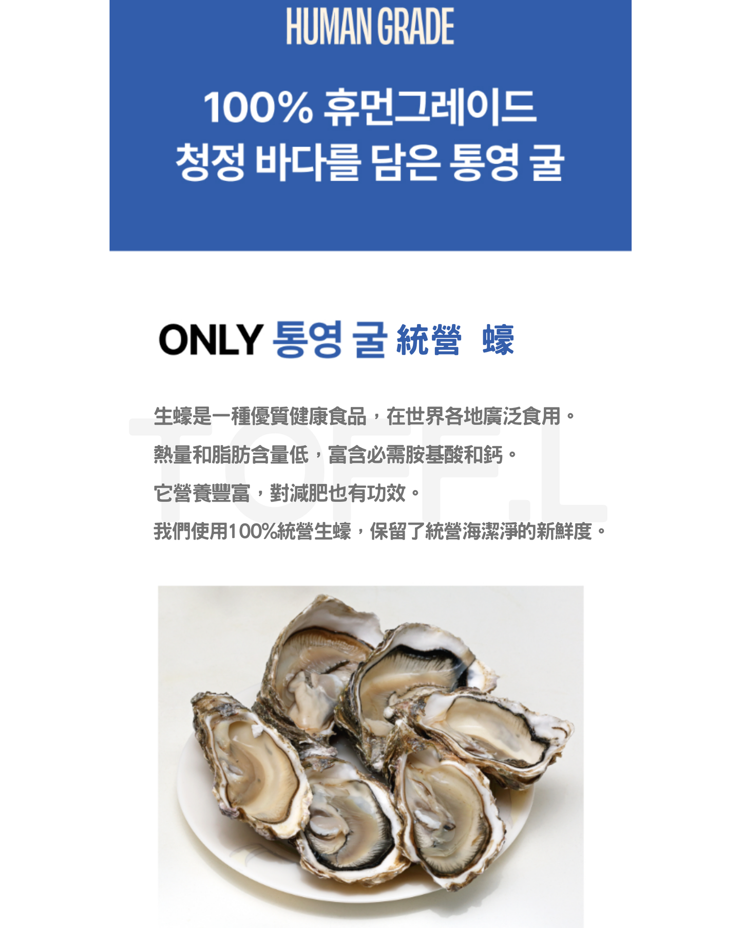 Trusty Food 生蠔凍乾