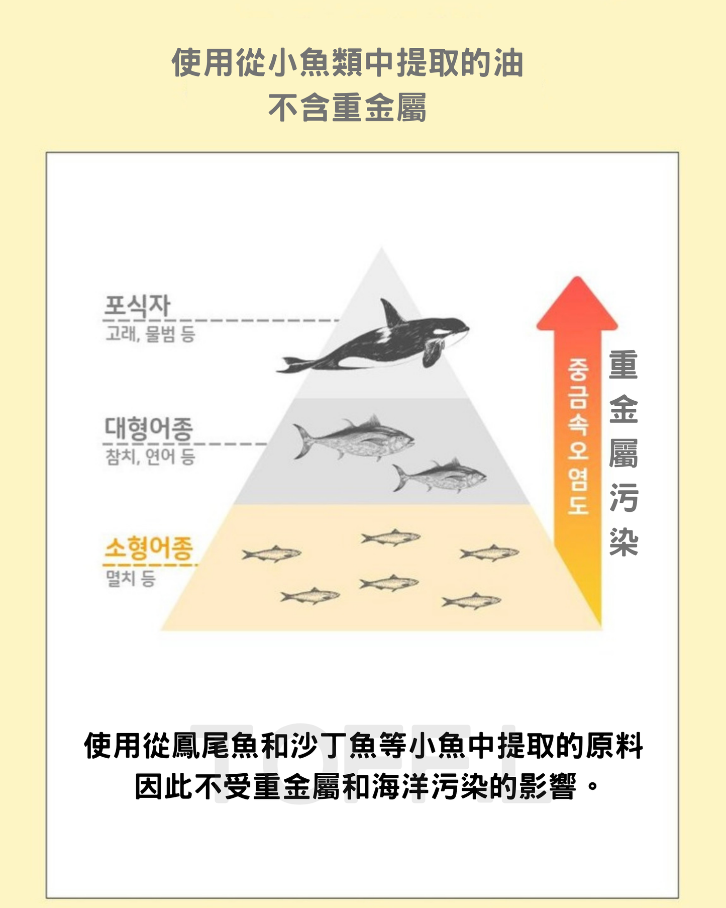 3651 rTG Omega3 mini魚油 | 貓犬用