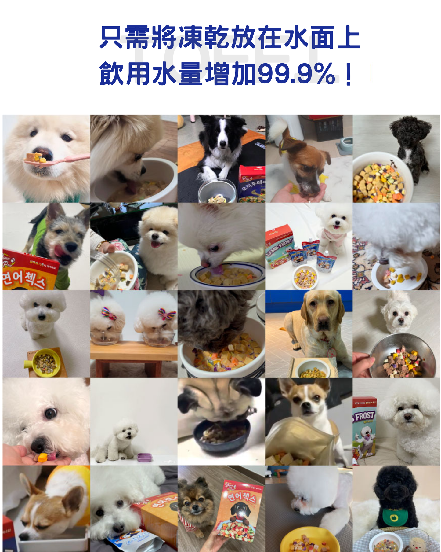 SuperPaw 三文魚味狗狗粟米片