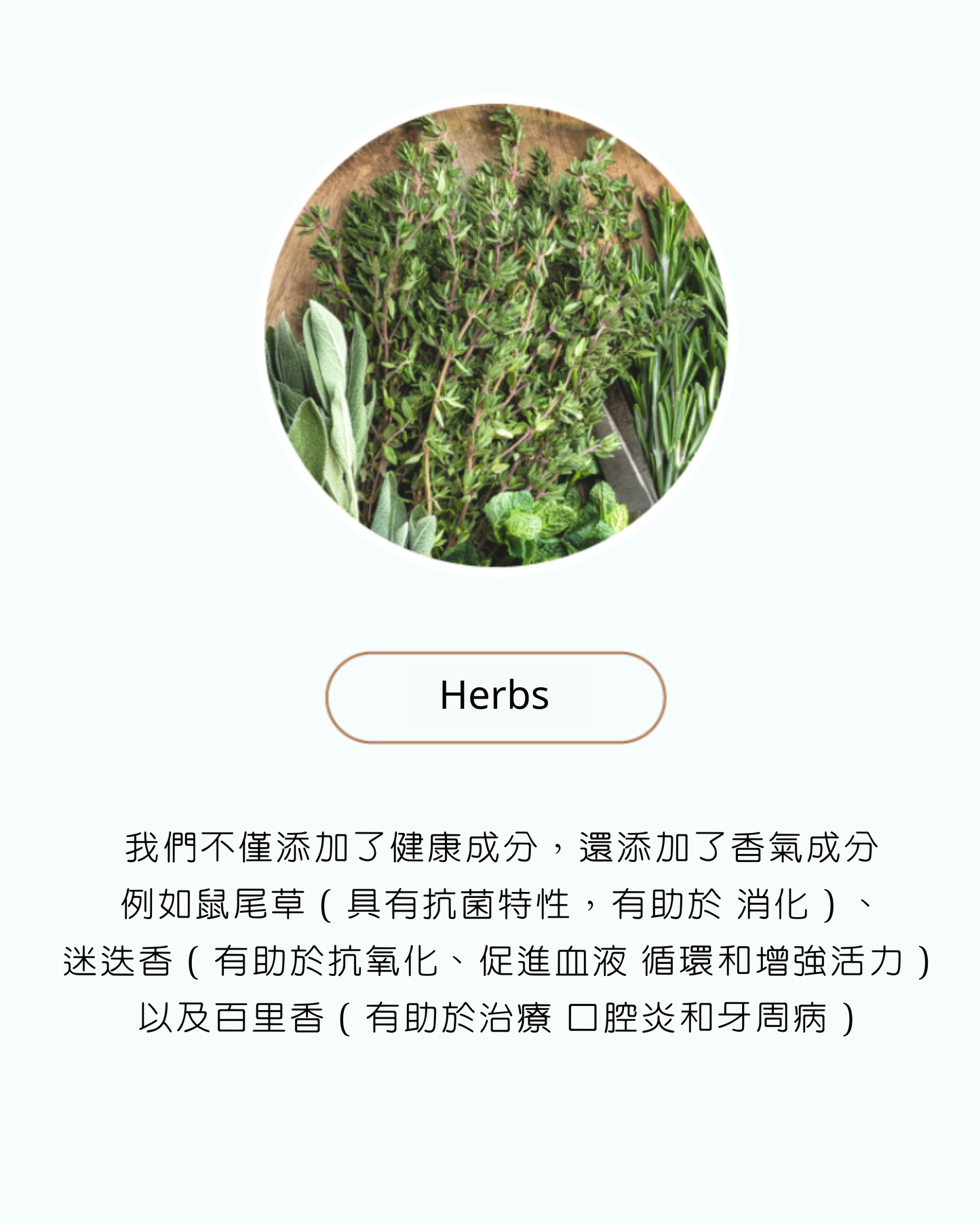 Natural Core汪汪雞肉蔬菜飯鮮食包