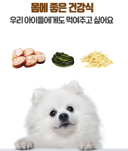 펫러닝 牛筋牛骨湯