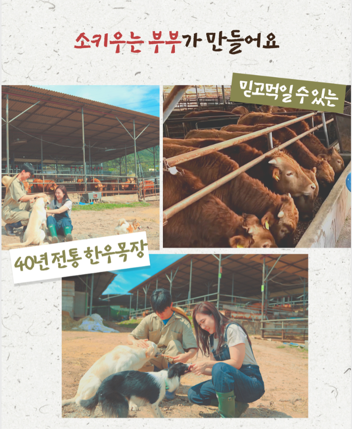 멍멍하누 韓牛心乾