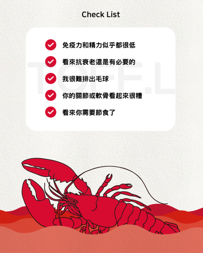 든든龍蝦鴨肉泥條 🦞🦆| 貓犬用