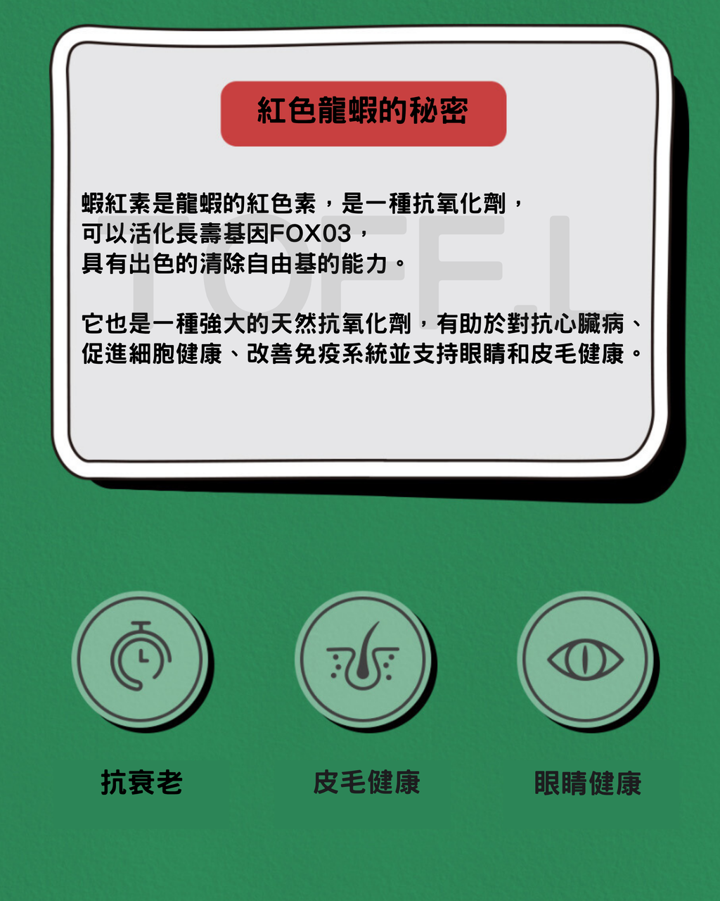 든든龍蝦三文魚肉泥條 🦞🐟   | 貓犬用