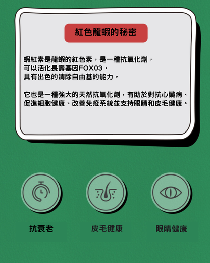 든든雞肉三文魚肉泥條 🦞🐔| 貓犬用
