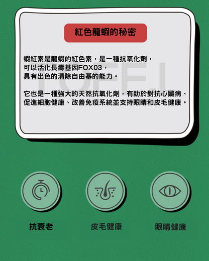 든든龍蝦鴨肉泥條 🦞🦆| 貓犬用