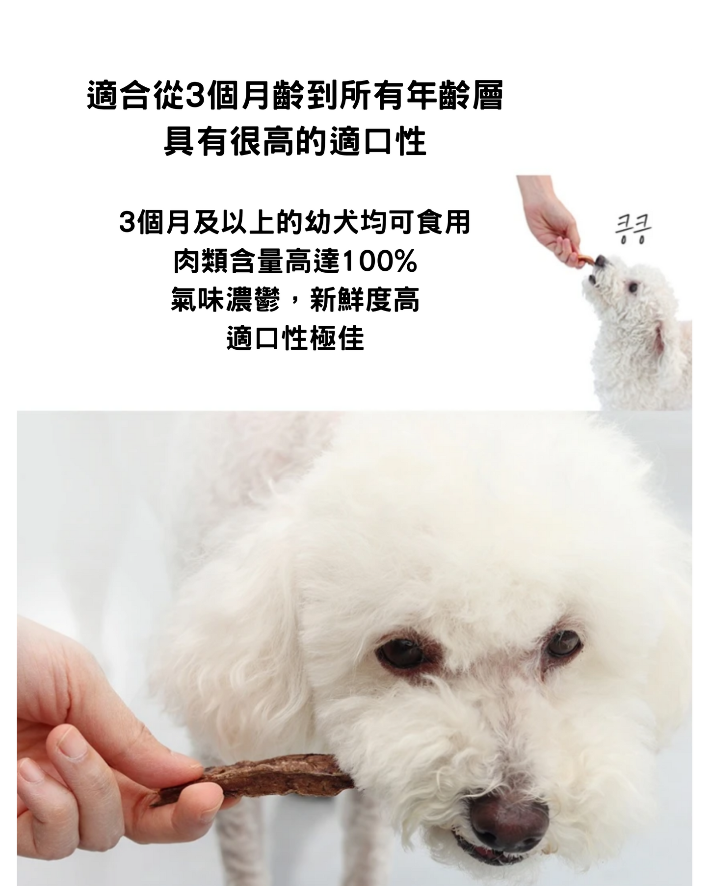 오래오래프로젝트 韓牛肺乾