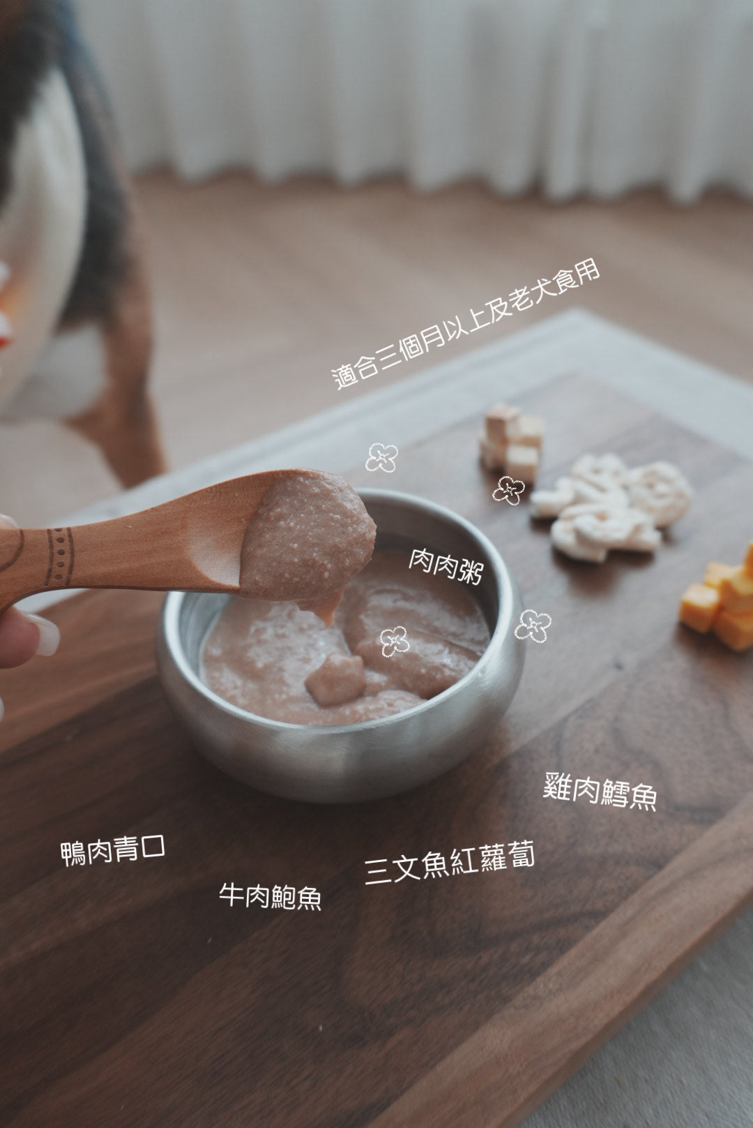 🍲韓式寵物粥品+金魚小燈籠禮盒🌕🏮