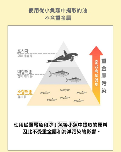 3651 rTG Omega3 mini魚油 | 貓犬用