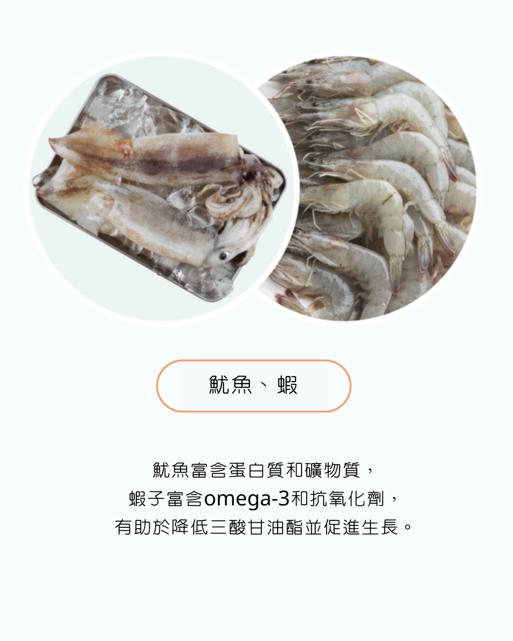 Natural Core汪汪西班牙海鮮飯鮮食包