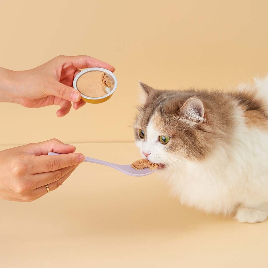 Vet Solution 貓咪功能小布丁