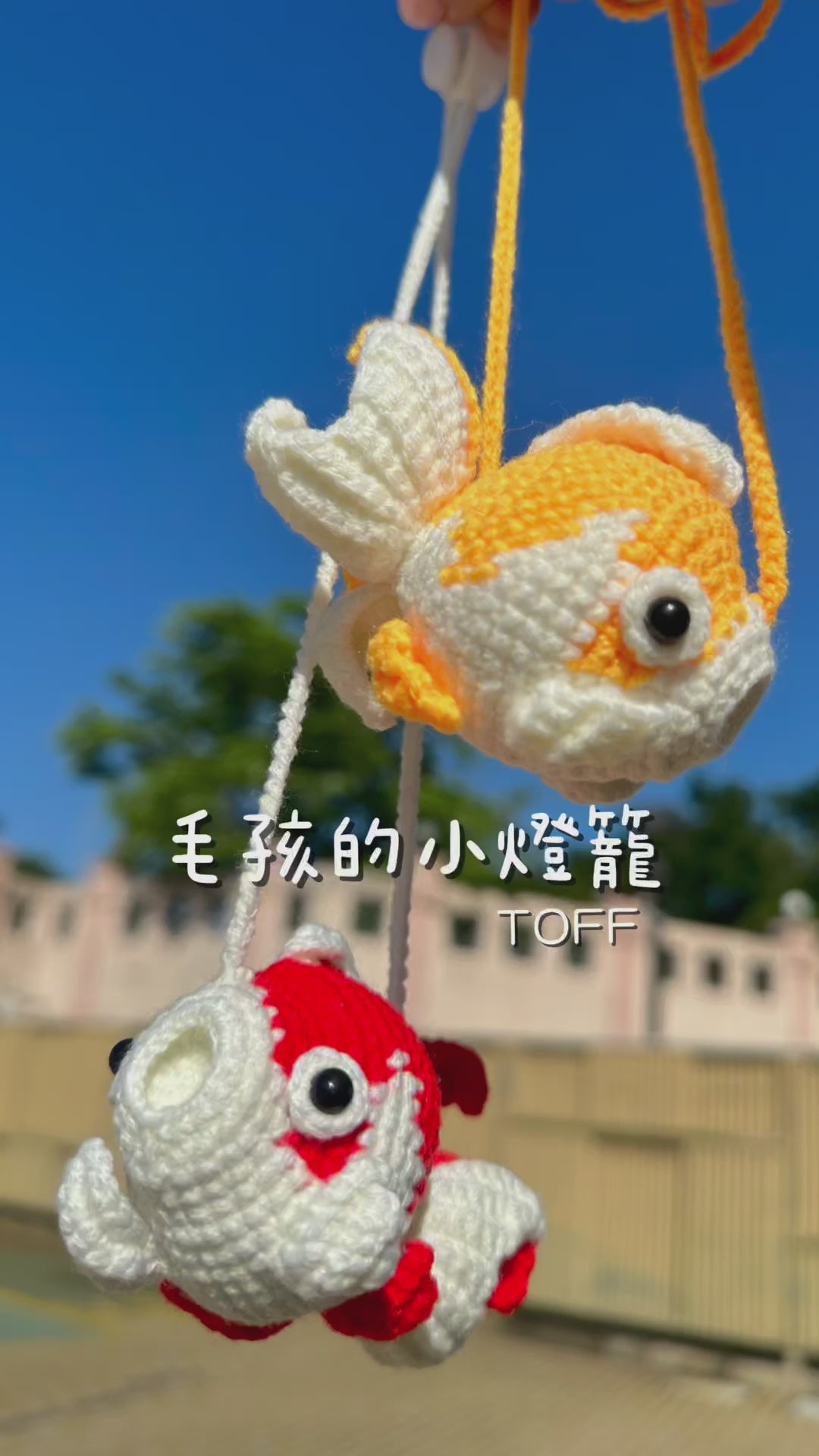 🍲韓式寵物粥品+金魚小燈籠禮盒🌕🏮